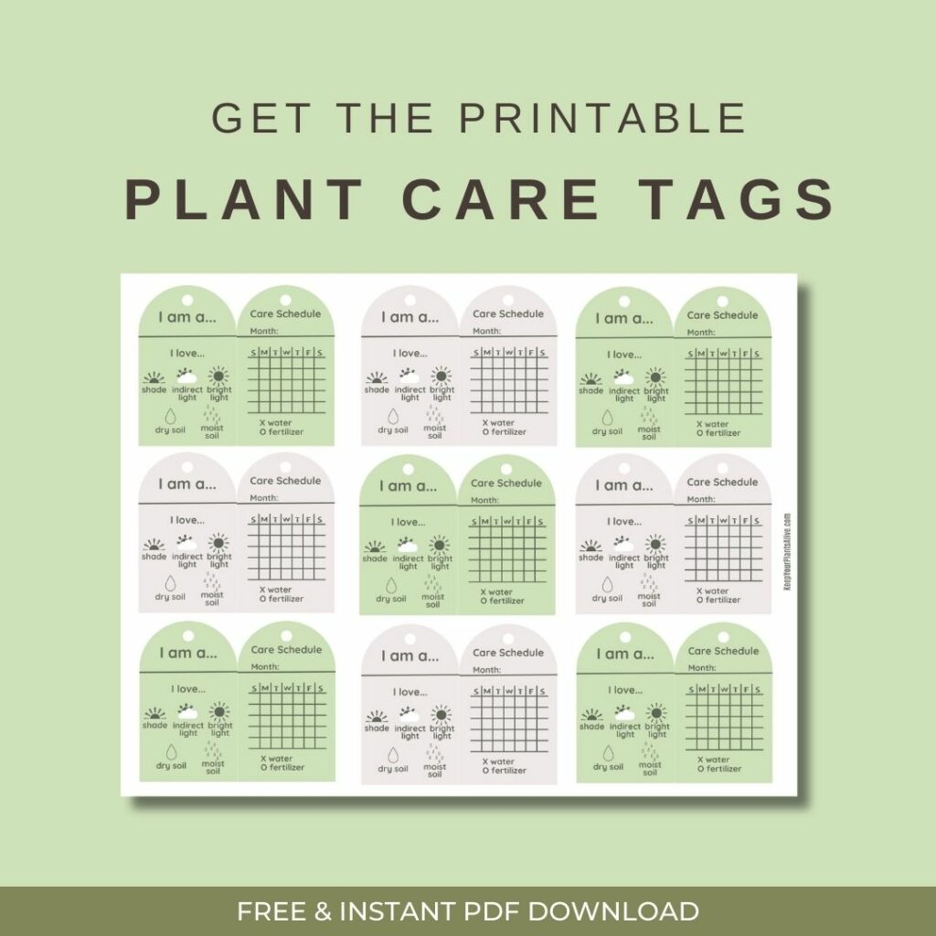 plant care tags free printable