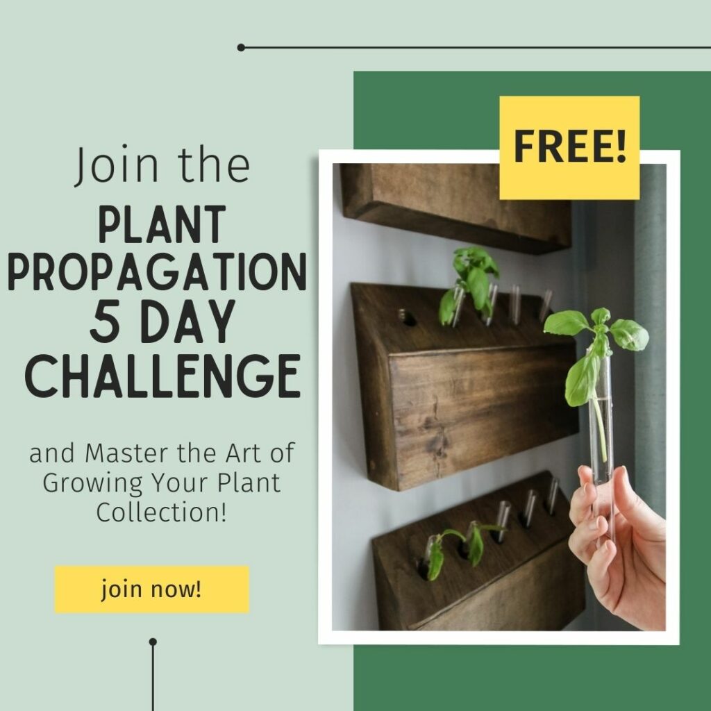 join the plant propagation 5 day challenge