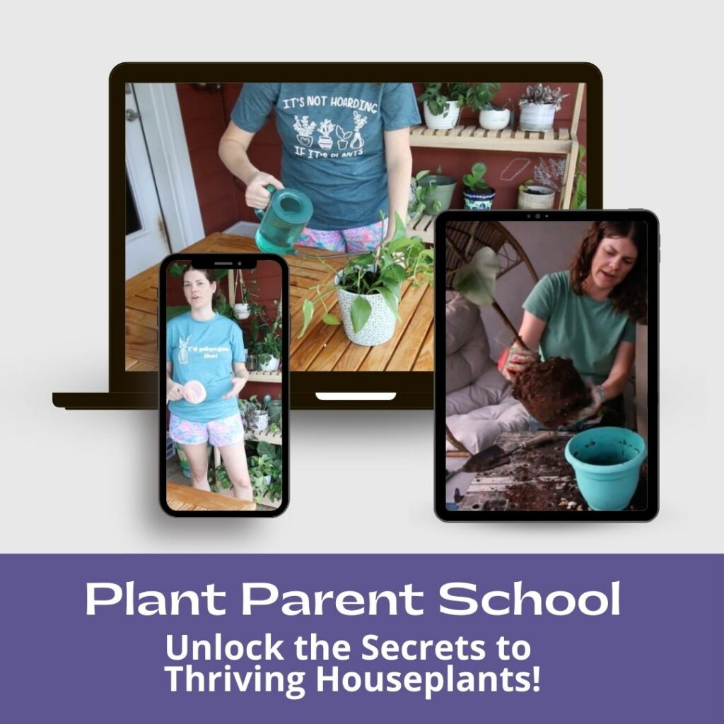 plant parent school mockup