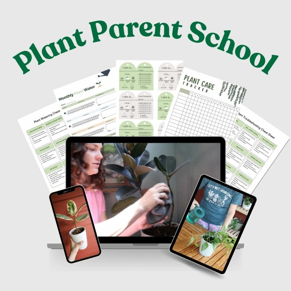 plant parent school mockup